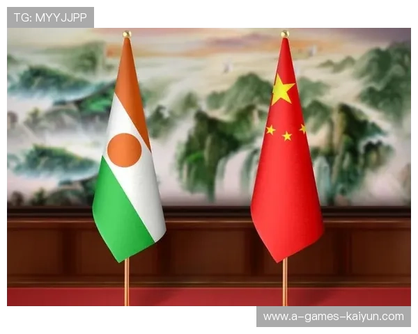 尼日尔排球运动逐渐成为主流运动项目，尼日尔国家队